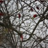 img_1830_000.jpg