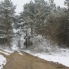 img_1823_000.jpg
