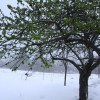 img_1833_000.jpg
