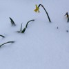img_1831_000.jpg