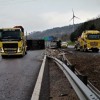 govedo, primorska avtocesta 27. 3. 2020