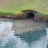 20200327_121302.jpg