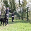 policija_1.jpg