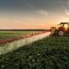 monsanto1.jpg