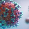 virus_copy.jpg