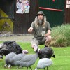 boračeva, zoo-sikalu, živali, živalski-vrt