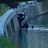 ljubljanica, reka, reševanje iz vode, reševanje iz reke, slovenska policija, slovenski policisti