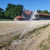 20 šport kasači.jpg