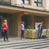 primož-roglič