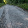 img_3164.jpg