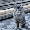 img_2087_000.jpg