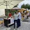murska-sobota, sočna-vilica