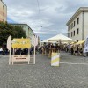 murska-sobota, sočna-vilica