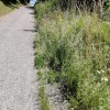 img_20200618_134022.jpg