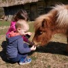 skansen_003.jpg