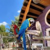 mini-zoo-land