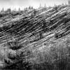 tunguska 2