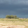 prekmurje, goričko, dolenci, neurje, dež, po-neurju, narava