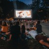piknik kino_2.jpg