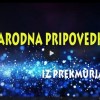 _zzzzzzzzpra.jpg