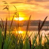 sunrise-1670979_1920.jpg