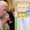 gin, elizabeta-ii, buckinghamska-palača