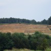 peskokop, Kuštanovci