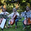 koncert, čelisti, ljutomer, glasbena-šola