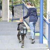 otrok, otroci, osnovna-šola, škofja-loka, koronavirus, šolska-pot