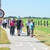 murska-sobota, slovensko-društvo-za-celiakijo, brezglutenski-dan