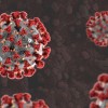 coronavirus.jpg