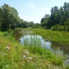 Mrtvica, Mura, Natura Mura