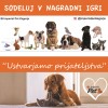 stekla-v2.jpg