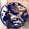 gls_trebnje___odprtje_53_mtls_trebnje_in_razstave_od_pespotnega_casa_do_danes__03102020__foto_a...