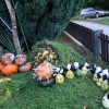 img_4181_000.jpg