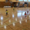 kmn_sevnica4.jpg