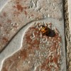 IMG_20201022_144935.jpg