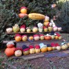 oktober084.jpg