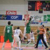 krka_cibona.jpg