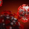 koronavirus.jpg