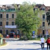 covid_bolnisnica_nm.jpg