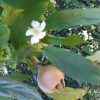 20201031_110901.jpg