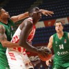 crvena_zvezda_krka_02.jpg
