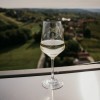 Vinarium, Lendava