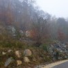Ruardi