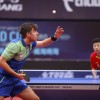 Darko Jorgić Ma Long
