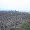 img_4562_000.jpg