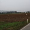img_4566_000.jpg
