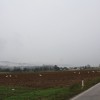 img_4564_000.jpg