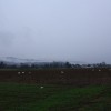 img_4563_000.jpg
